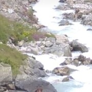 ���������� ������, ���� ������� ������, 44 ����, ������������ ��� ����� � ���������, c�������� ���������