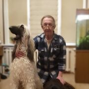  ,   , 66 ,   ,   