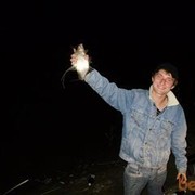 ���������� ����� �������, ���� ������� Zh1vec, 39 ���, ������������ ��� ������, ����� � ���������, c�������� ���������