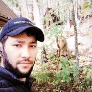 ���������� �����-���������, ���� ������� ���, 38 ���, ������������ ��� ������, ����� � ���������