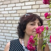 ���������� ������, ���� ������� �����, 62 ����, ������������ 