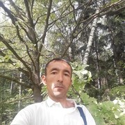  ,   , 41 ,   