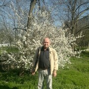  ,   , 65 ,  