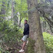 ���������� �����������, ���� ������� �����, 38 ���, ������������ ��� ������, ����� � ���������