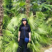  ,   , 43 ,   ,   