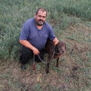 ���������� ������-��-����, ���� ������� ����, 50 ���, ������������ ��� ����� � ���������, c�������� ���������