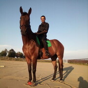 ���������� �����������, ���� ������� �������, 56 ���, ������������ ��� ������, ����� � ���������, c�������� ���������