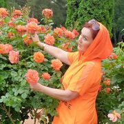  ,   , 51 ,   ,   , c 