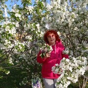  ,   , 62 ,     , c , 