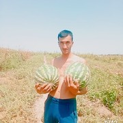 ���������� ����������, ���� ������� Volk, 37 ���, ������������ ��� ������, ����� � ���������, c�������� ���������