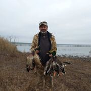 ���������� �������, ���� ������� �����, 58 ���, ������������ ��� ����� � ���������, c�������� ���������