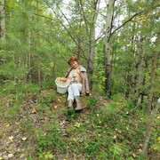 ���������� �������������, ���� ������� �����, 61 ���, ������������ ��� c�������� ���������, ���������