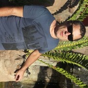 ���������� ��������, ������� ����, 50