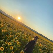 ���������� ������������, ���� ������� �����, 38 ���, ������������ ��� ����� � ���������, c�������� ���������, ���������