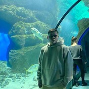 ���������� ���������, ���� ������� �����, 26 ���, ������������ ��� ������, ����� � ���������, c�������� ���������, ���������