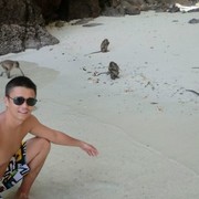 ���������� ������, ���� ������� ������, 37 ���, ������������ 