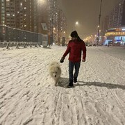 ���������� ���������, ���� ������� ���, 29 ���, ������������ ��� ������, ����� � ���������, c�������� ���������