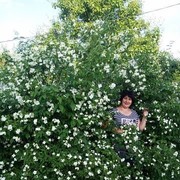  ,  Natali, 52