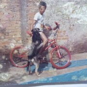  -,   Ale, 49 ,   ,   