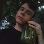  ,   Vadim, 18 ,   ,   , c 