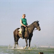 ���������� ���������, ���� ������� ������, 61 ���, ������������ ��� ����� � ���������, c�������� ���������