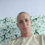 ���������� ���������, ���� ������� �������, 38 ���, ������������ ��� ����� � ���������, c�������� ���������, ���������