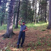 ���������� ����, ���� ������� ���������, 42 ����, ������������ ��� ������, ����� � ���������, c�������� ���������