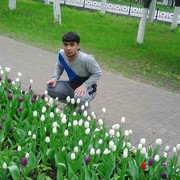  ,   , 31 ,   ,   , c 