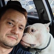 ���������� ������, ���� ������� ����, 41 ���, ������������ ��� ������, ����� � ���������, c�������� ���������, ���������