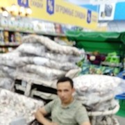  -,   Murod, 41 ,   ,   , c , 