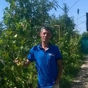  ,    , 51 ,  