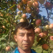 ���������� �������, ���� ������� ����, 40 ���, ������������ ��� ������