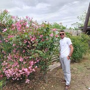 ���������� ������������, ���� ������� �����, 46 ���, ������������ ��� ������, ����� � ���������