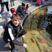 ���������� ���������, ���� ������� �����, 53 ����, ������������ ��� ������, ����� � ���������, c�������� ���������, ���������