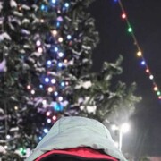 ���������� �����������, ���� ������� ������, 104 ����, ������������ ��� ������, ����� � ���������, c�������� ���������