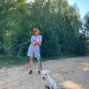 ���������� �����, ���� ������� �������, 65 ���, ������������ ��� c�������� ���������