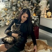 ���������� ���������, ���� ������� �������, 31 ���, ������������ ��� c�������� ���������