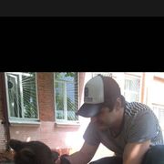 ���������� �����������, ���� ������� �����, 37 ���, ������������ ��� ������, ����� � ���������