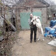  ,   , 58 ,     , c 