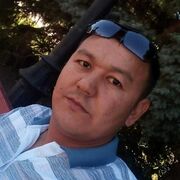  ,   Alpo, 40 ,   ,   