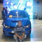 ���������� �����, ���� ������� Pitbull, 36 ���, ������������ ��� ������