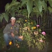 ���������� �����, ���� ������� ������, 41 ���, ������������ ��� ����� � ���������, c�������� ���������