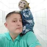  ,   , 42 ,     , c 