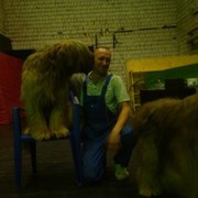 ���������� ������, ���� ������� �������, 38 ���, ������������ ��� ������, ����� � ���������, c�������� ���������