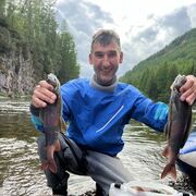 ���������� ����������, ���� ������� �����, 38 ���, ������������ 