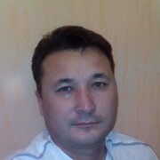 -,   , 49 ,   