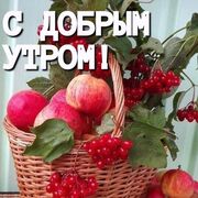 ���������� �����������, ���� ������� ���������, 39 ���, ������������ ��� ������, ����� � ���������, c�������� ���������