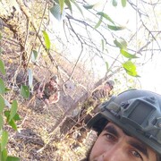 ���������� ������, ���� ������� �����, 38 ���, ������������ ��� ������, ����� � ���������, c�������� ���������, ���������