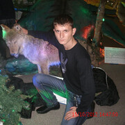 ���������� ��������, ���� ������� �������, 36 ���, ������������ ��� ������, ����� � ���������