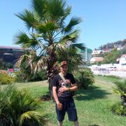 � ������� � ���� �������